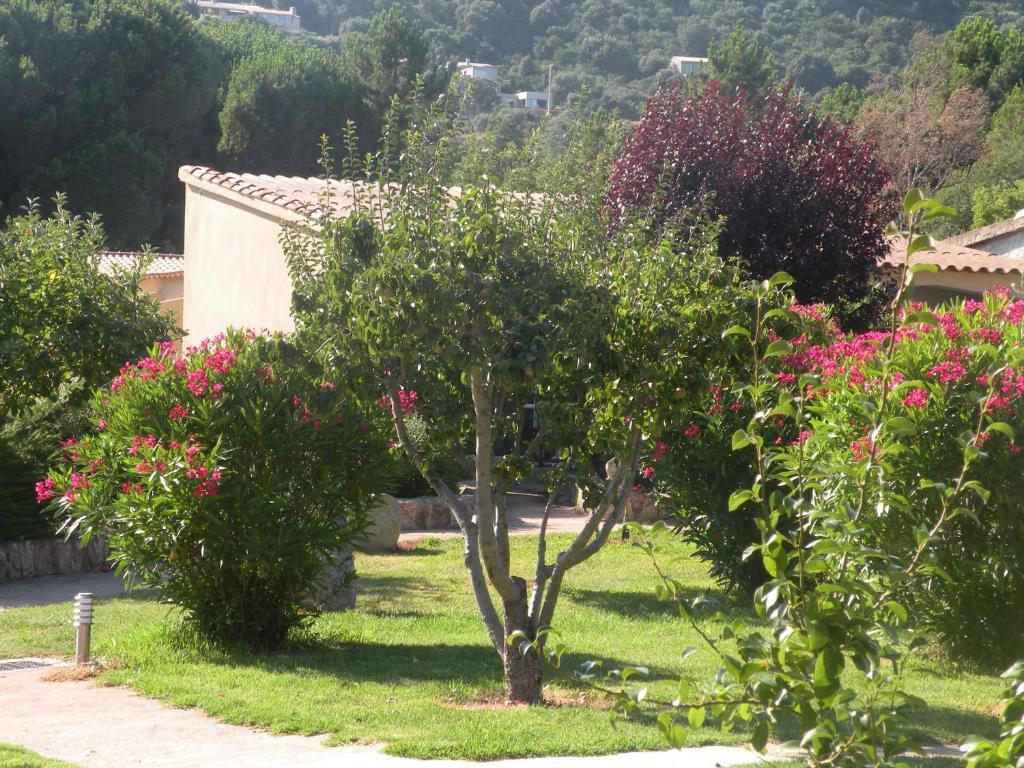 Hotel Les Jardins De Santa Giulia Porto-Vecchio  Exterior foto